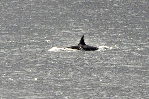 Melanie Heinrich Images - Alaska